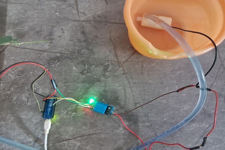 Arduino Nano Board with Water Pump
