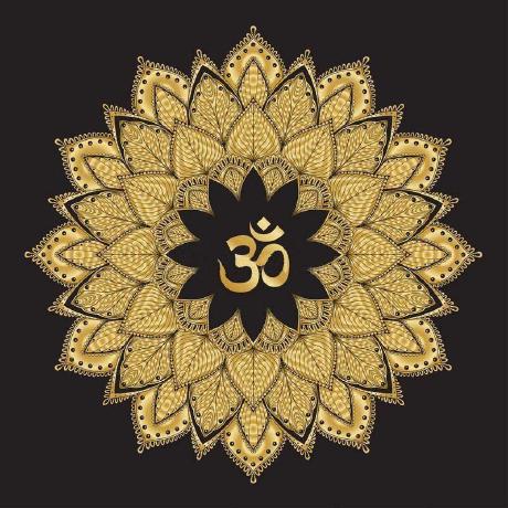 Profile picture for user ninjaww