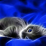 Profile picture for user jatinchauhan