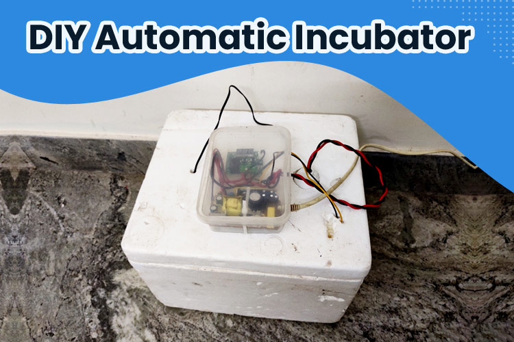 DIY Automatic Incubator
