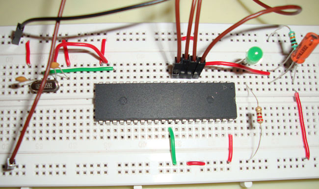 LED Interfacing with 8051 Microcontroller (AT89S52)