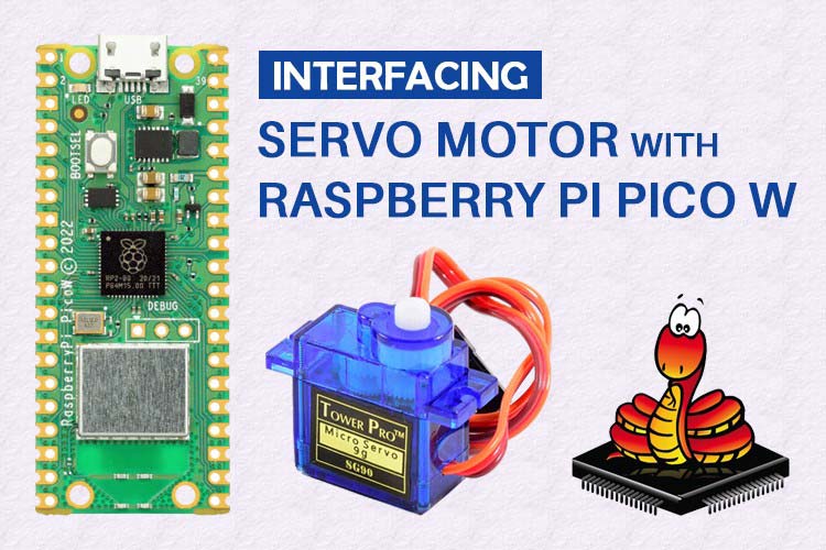 Raspberry Pi Pico W with Servo Motor