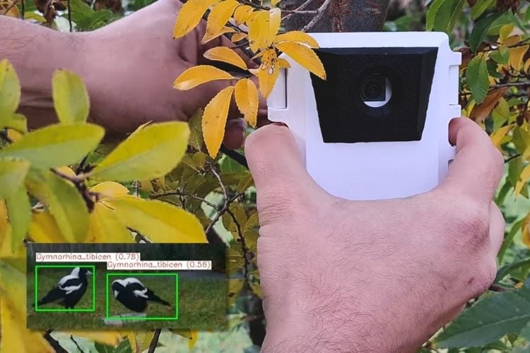 Edge AI Wildlife Detection Using Raspberry Pi Zero Edge AI Wildlife Detection Using Raspberry Pi Zero