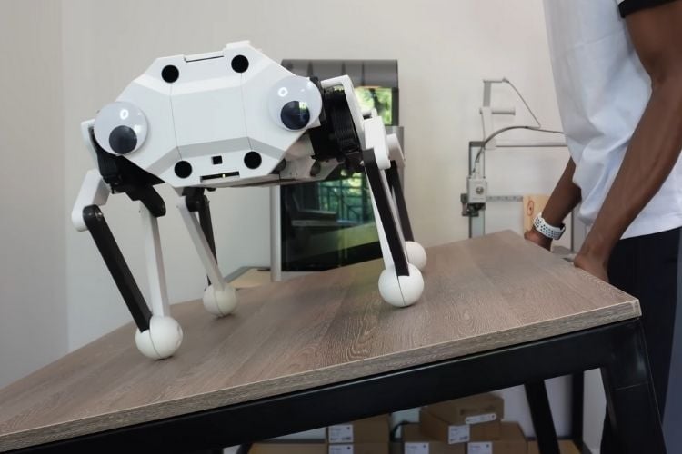 CARA: Rope-Driven Robot Dog Without Gears CARA: Rope-Driven Robot Dog Without Gears