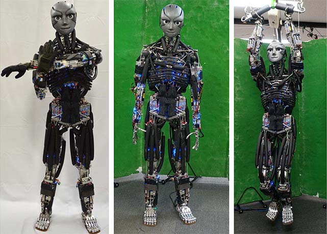 Kengoro a Humanoid Robot