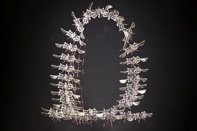 Time-lapse of a Microrobot Executing a Flip