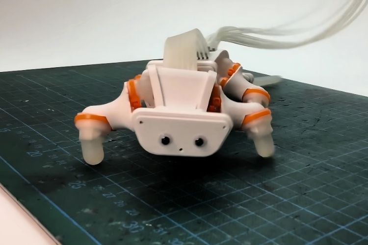 Salamander Robot Upgraded with Flexible Spine Movement Salamander Robot Upgraded with Flexible Spine Movement
