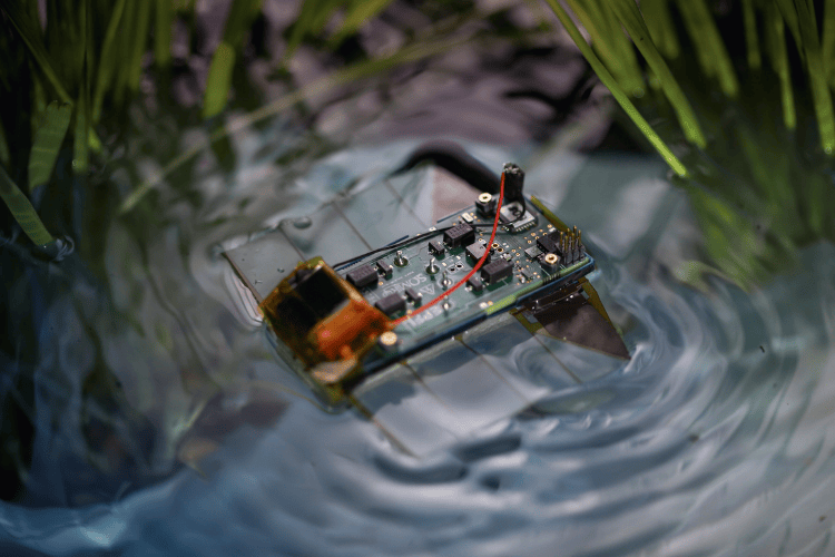 Mini Robot that Swims Silently to Tackle Water Pollution