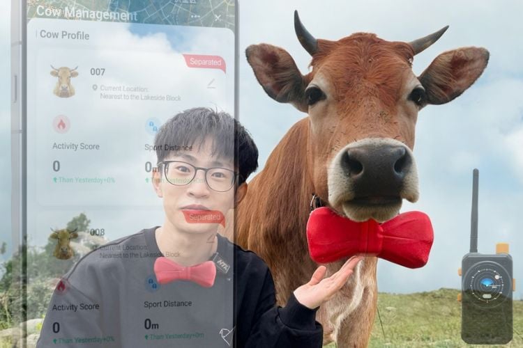 Tracking Cows Without Cell Towers A Custom LoRa Farm Network