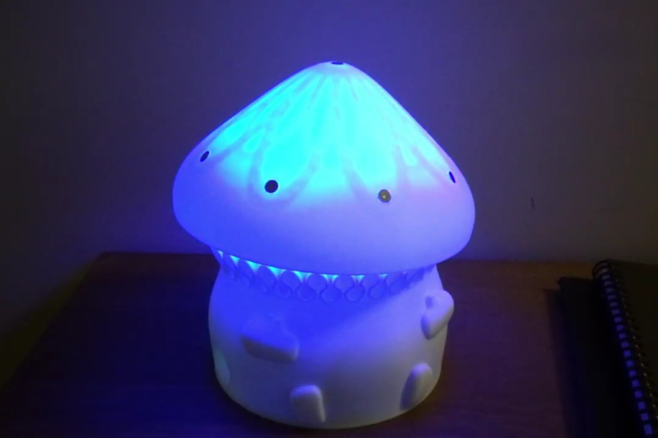 A DIY Mushroom Robot 