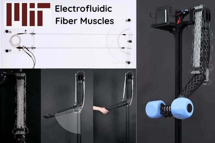 MIT's Electrofluidic Fiber Muscles