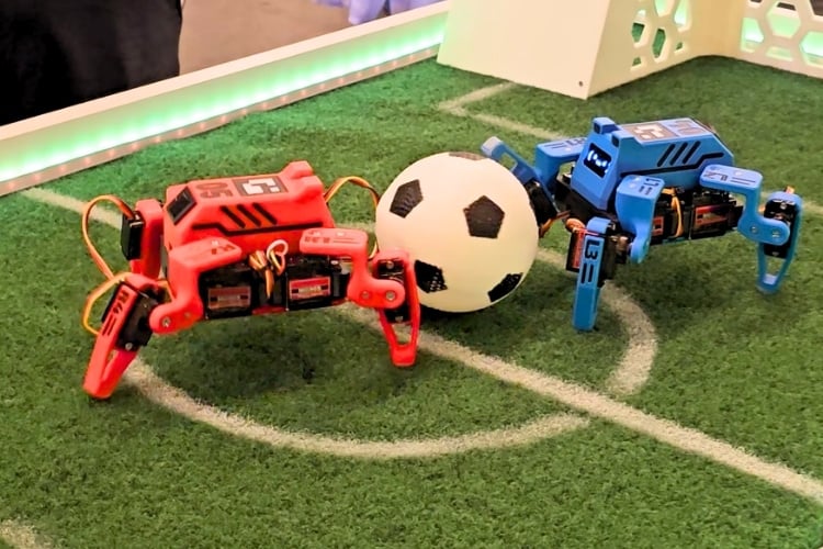Small Quadruped Robot Playing Soccer On Field