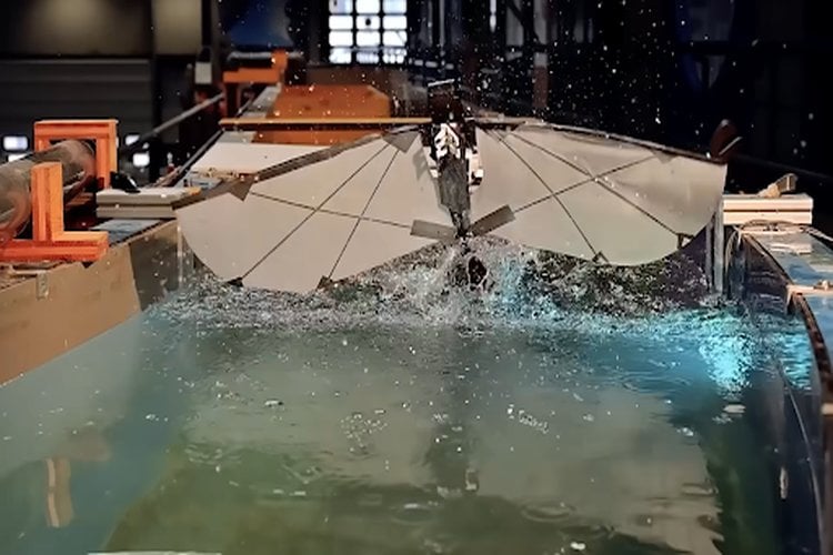MIT Develops a Robotic Bird That Can Fly, Dive, and Swim