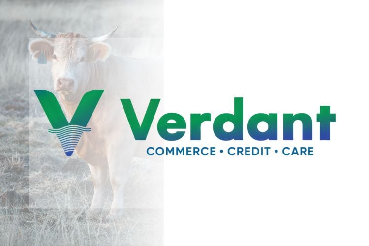 Agritech Startup Verdant Impact Raises $3 Million