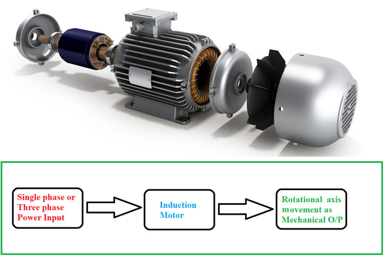 Single phase ac induction motor
