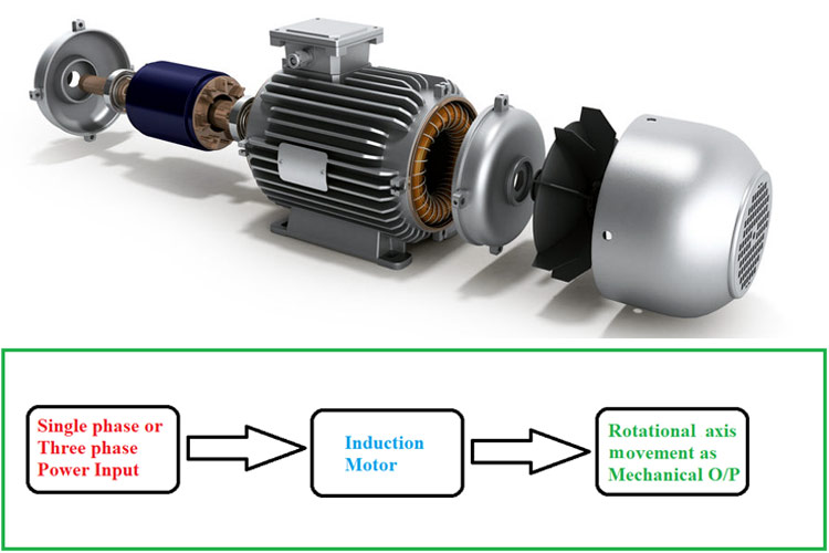 Induction Motor Working Principle Single Phase and Three Phase