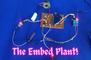 The Embed Plant