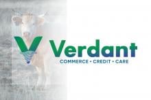 Agritech Startup Verdant Impact Raises $3 Million