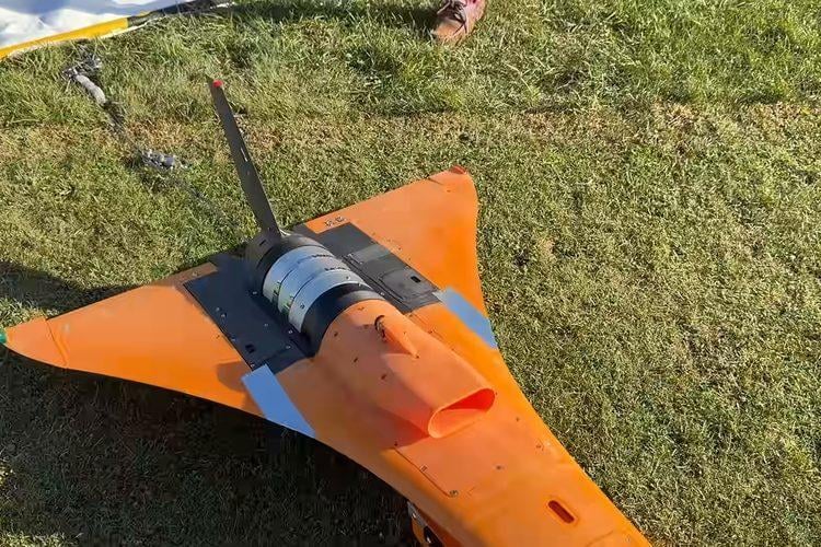 King Chaser 3D-Printed RC Jet Flying Fast