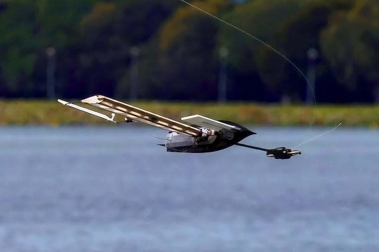 ALBATROSS Robot Landing On Water With Wings