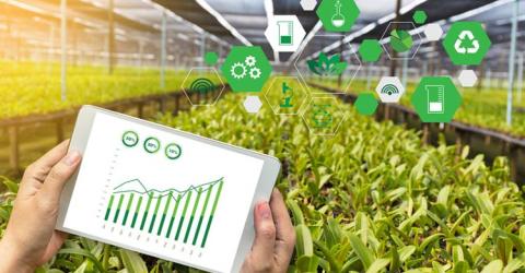 How Internet of Things (IoT) is Transforming Food Industry and Improving Food Safety