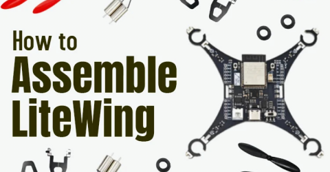 LiteWing Assembly Guide
