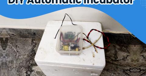 DIY Automatic Incubator