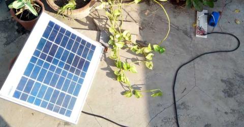 Solar Powered Automatic Garden Light