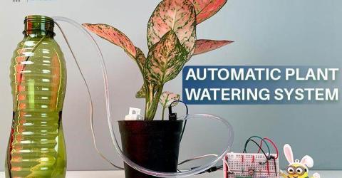 Automatic Plant Watering System