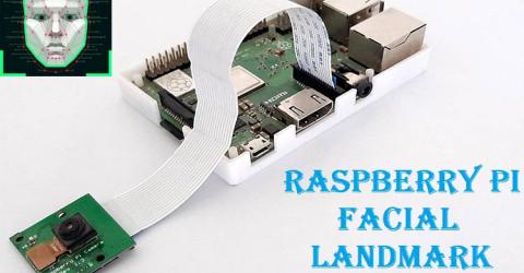Raspberry Pi Facial Landmark Detection