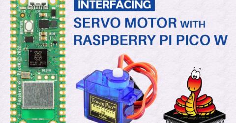 Raspberry Pi Pico W with Servo Motor