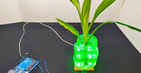 Touch Sensitive Color Changing Plants using Arduino and RGB LEDs