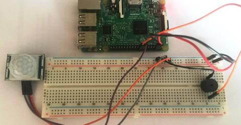 Raspberry Pi Motion Sensor/Detector Circuit using PIR