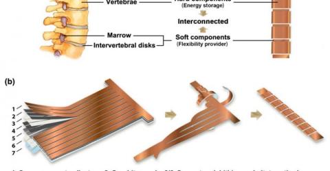 Flexible Lithium Battery for Wearable Electronics