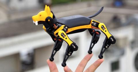 Petoi Bittle- Open Platform Robot Dog 