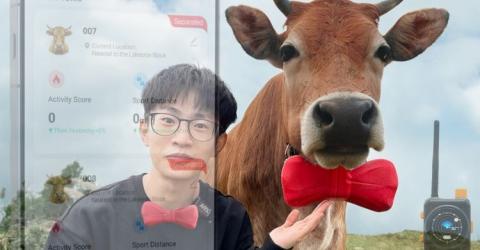 Tracking Cows Without Cell Towers A Custom LoRa Farm Network