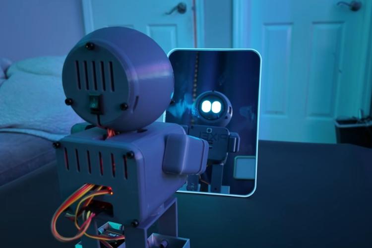 Naz Louis's Open-Source Robot Pixel With Gemini