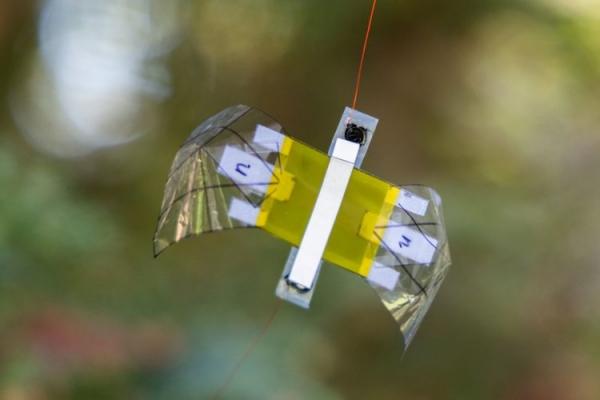 Tiny Insect-Sized Robot Survives Flyswatter Hit