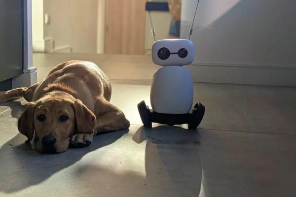 Reachy Mini Robot With New Hoverboard