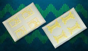 Bacterial Colonies Forming a Biological Logic Circuit
