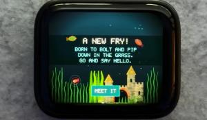 Virtual Fish Tank Running on ESP32-S3 Microcontroller