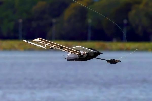 ALBATROSS Robot Landing On Water With Wings