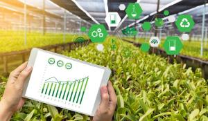 How Internet of Things (IoT) is Transforming Food Industry and Improving Food Safety