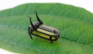 Micro-Robots that could potentially alter the Future of Robotics