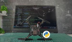 LiteWing Python Library