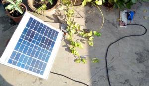 Solar Powered Automatic Garden Light