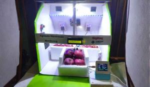 AgriSafe Rot Spotter A Multi Modal Edge AI System for Early Post Harvest Spoilage Detection