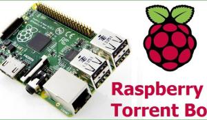 DIY Raspberry Pi Torrentbox