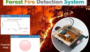 IoT Based Forest Fire Detection System