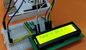 Interfacing DS18B20 Temperature Sensor with Raspberry Pi